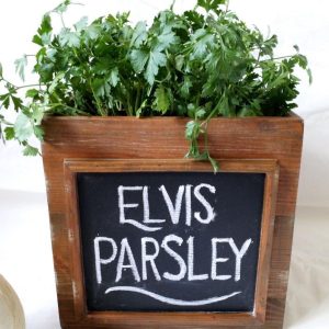 Elvis Parsley